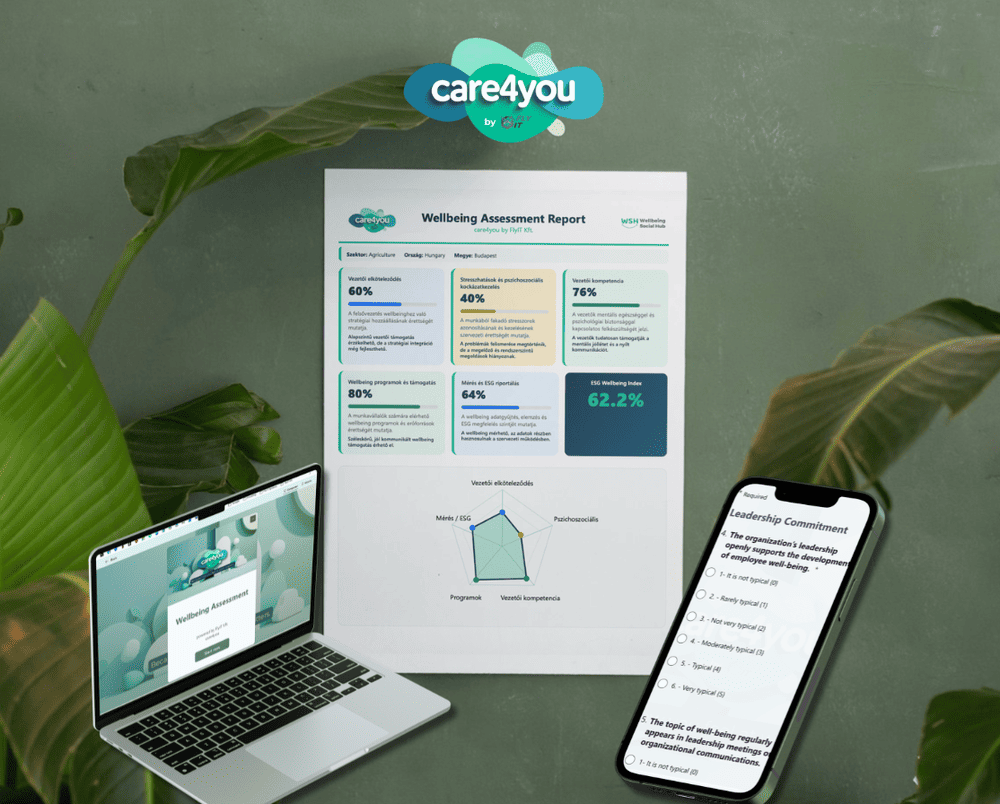 FlyIT wellbeing riport vizuál